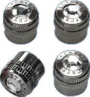 Set ventieldoppen zilver met kristallen